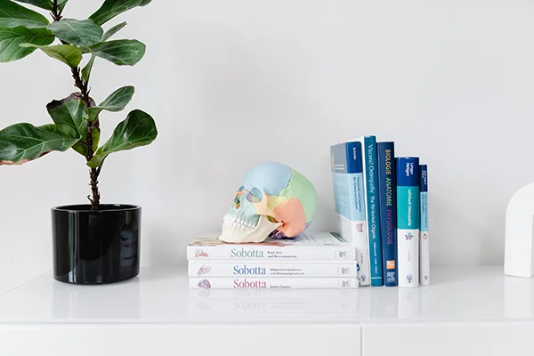 Ein Bücherstapel mit Fachliteratur (Sobotta, Viszerale Osteopathie) neben einem Schädelmodell und einer Pflanze.